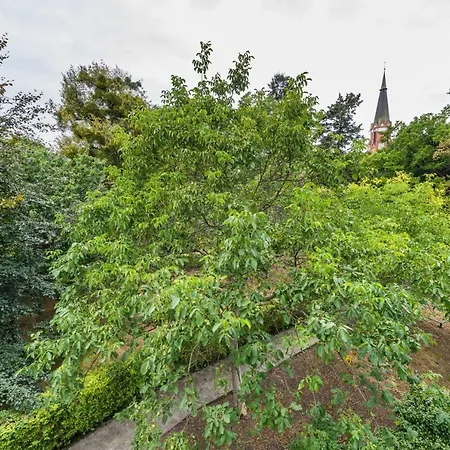 Apartment Mw - Dolny *